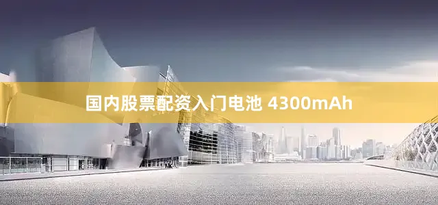 国内股票配资入门电池 4300mAh